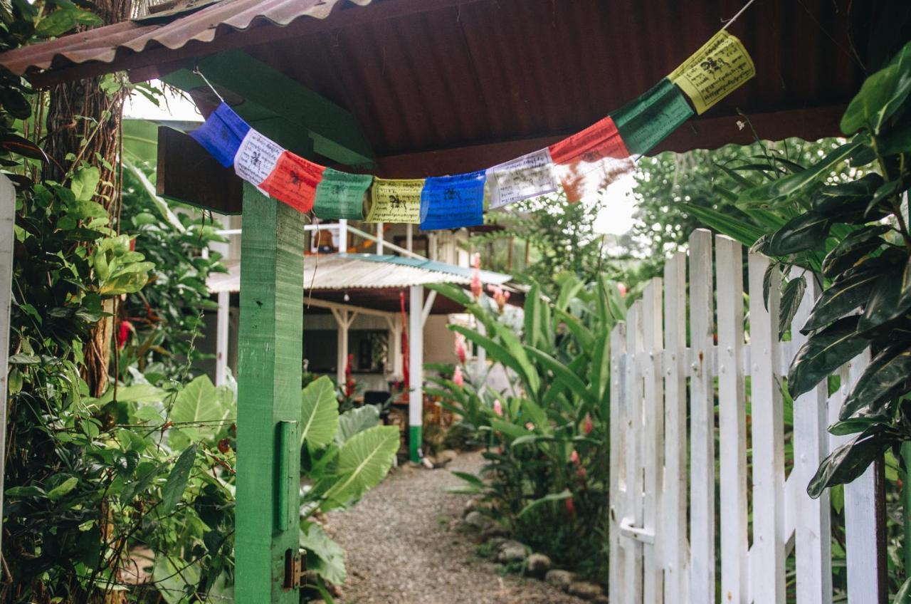 Casa Bohoe Puerto Viejo de Talamanca Экстерьер фото