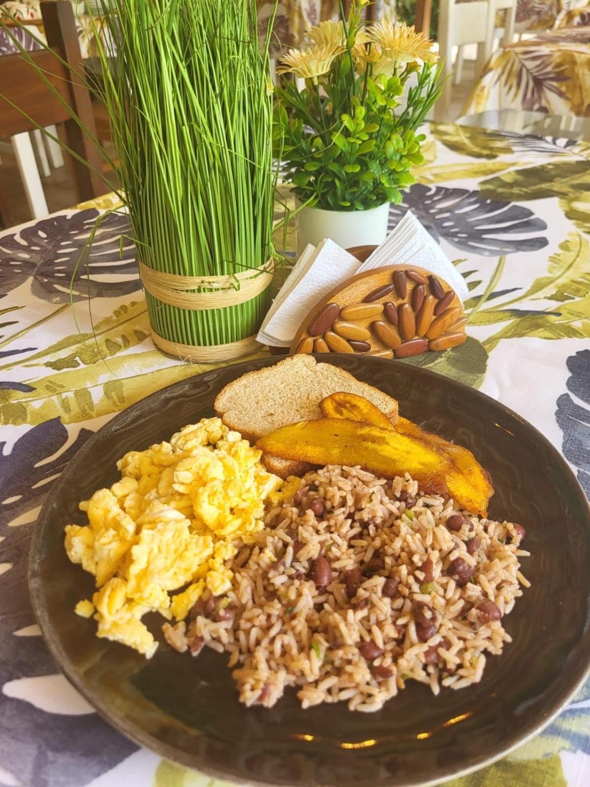 Casa Bohoe Puerto Viejo de Talamanca Экстерьер фото